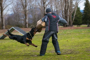 The Rogue Valley Schutzhund 