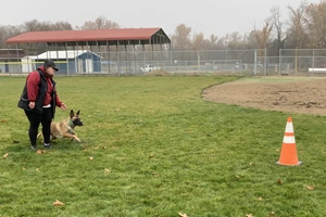 The Rogue Valley Schutzhund 