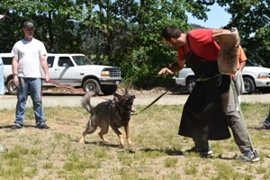 The Rogue Valley Schutzhund 