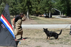 The Rogue Valley Schutzhund 