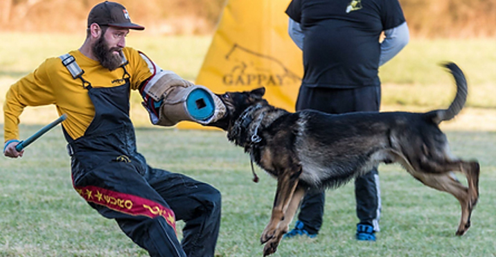 Schutzhund protection